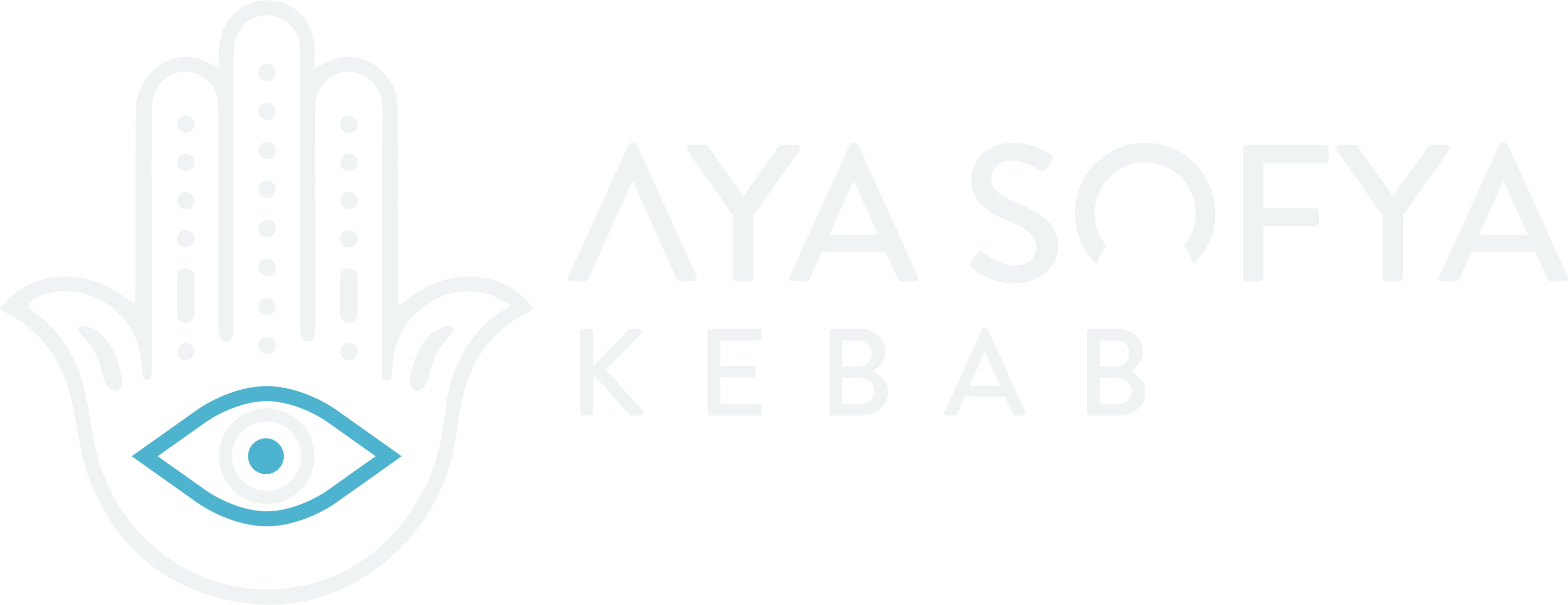 Aya Sofya Kebab